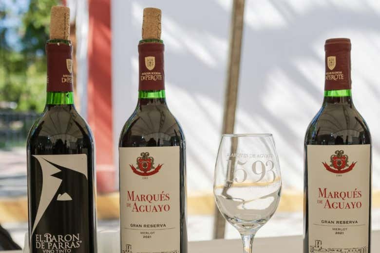 Cata de vinos y dulces parreños