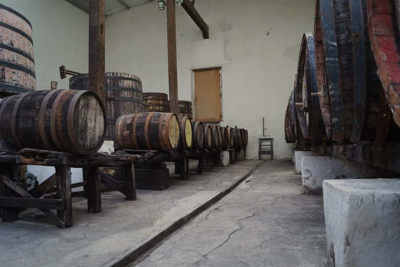Tour privado por un viñedo de Parras de la Fuente