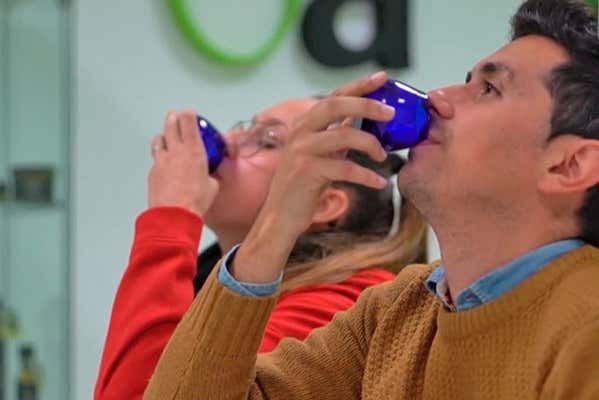 Visita a la finca Oleo Almanzora con degustación de aceite