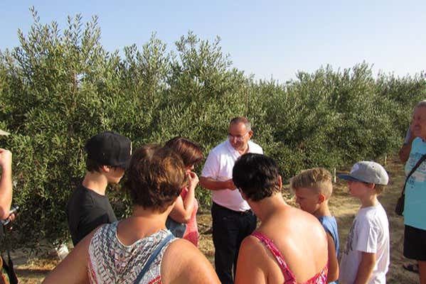 Visita a la finca Oleo Almanzora con degustación de aceite