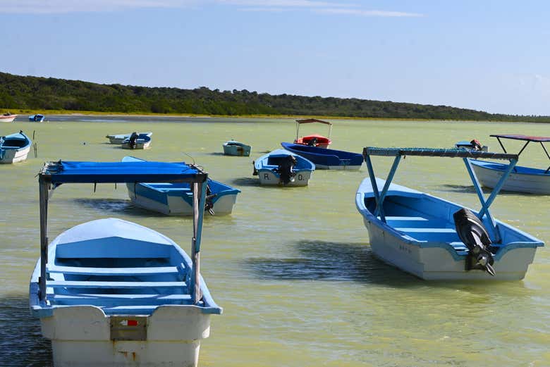 Excursión a la Laguna de Oviedo con avistamiento de flamencos