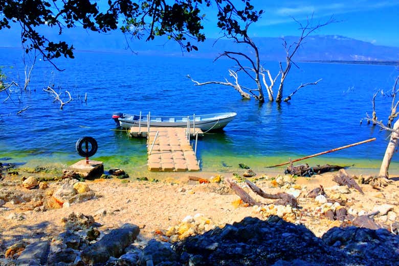 Excursión al lago Enriquillo con avistamiento de cocodrilos