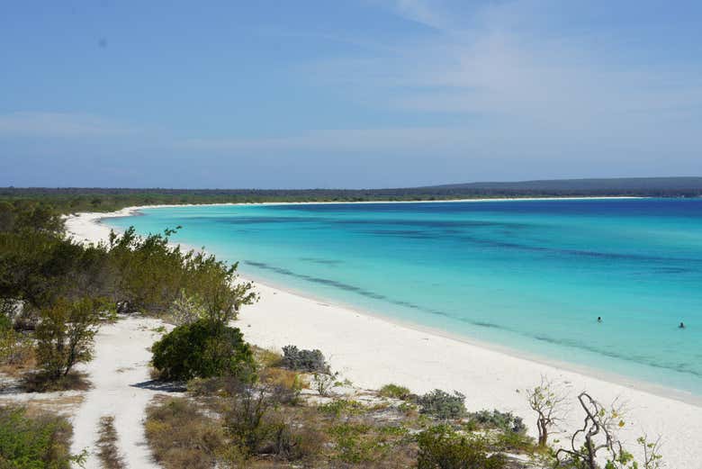 Excursión a Bahía de las Águilas