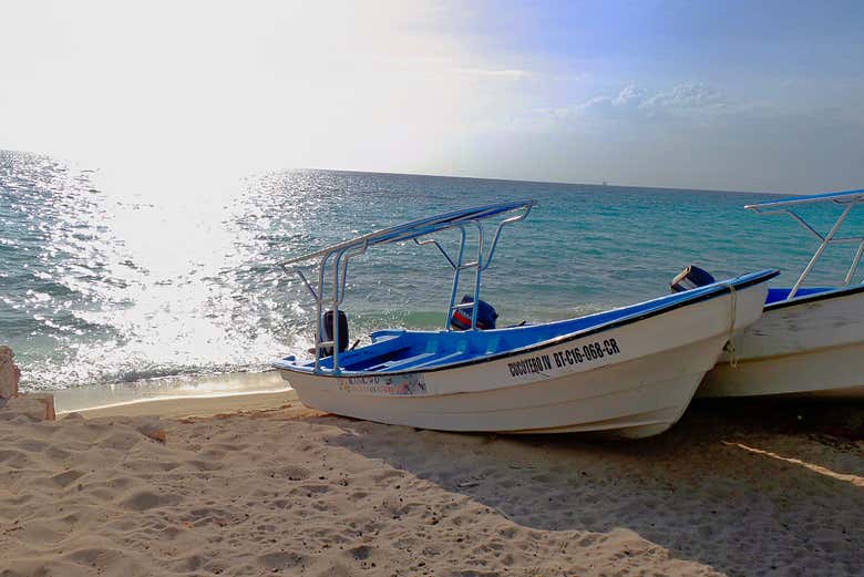 Excursión a Bahía de las Águilas