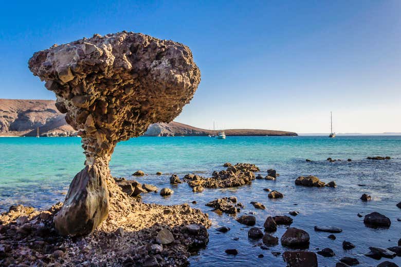 Excursión a la playa Balandra, La Paz y Todos Santos - Galería 2