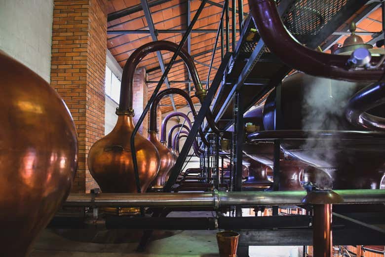 Visita a la destilería Braastad Cognac con cata