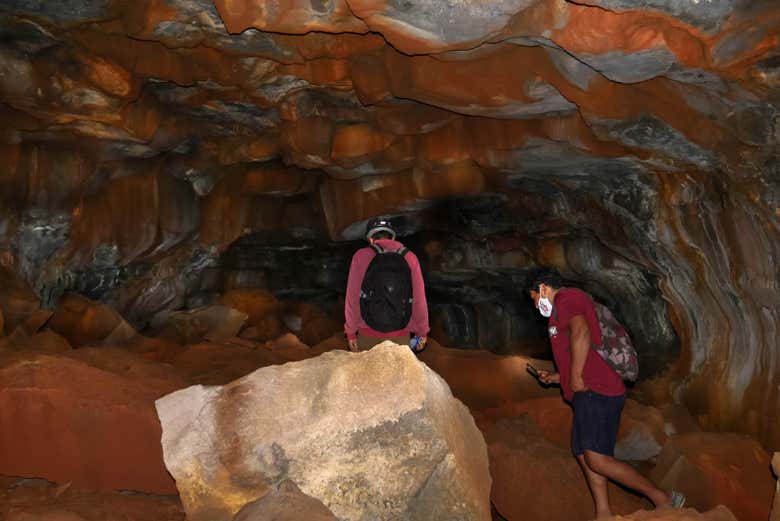 Tour por la Reserva Galápagos Frontier + Túneles de lava - Galería 2