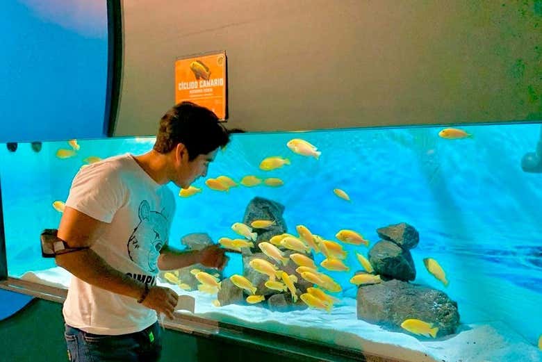 Entradas al Acuario Michin Puebla