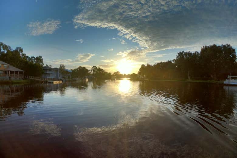Paseo en barco por Crystal River