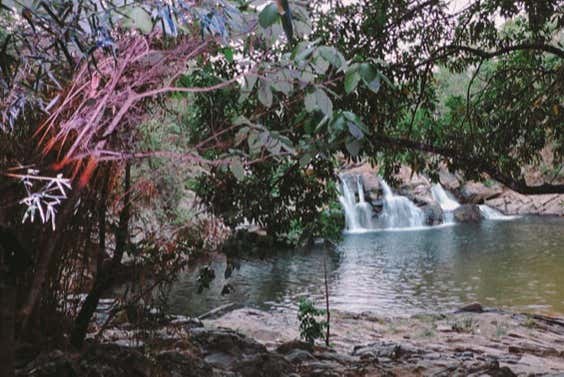 Excursión a la cascada de Araras