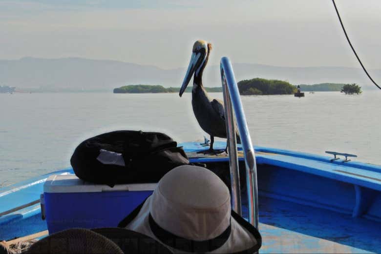 Excursión a la Isla de la Piedra