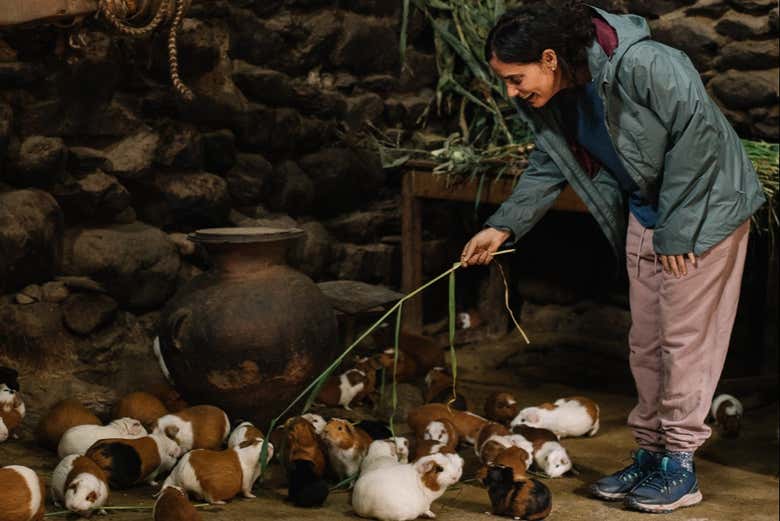Visita guiada por Ollantaytambo