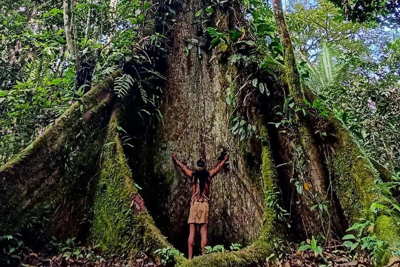 Tour de 2, 3, 4 o 5 días por Puerto Misahuallí