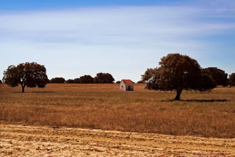 Visita a la bodega Grande Prova Honrado