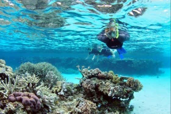 Snorkel en Sharm El Luli y Wadi El Qulaan