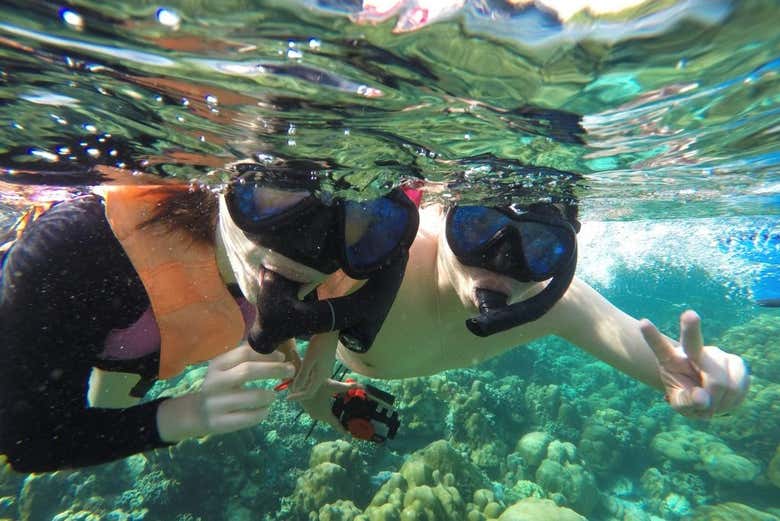 Snorkel en Sharm El Luli y Wadi El Qulaan