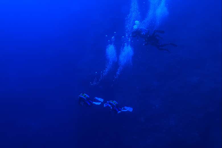 Bautismo de buceo en la reserva marina de Portovenere - Galería 2