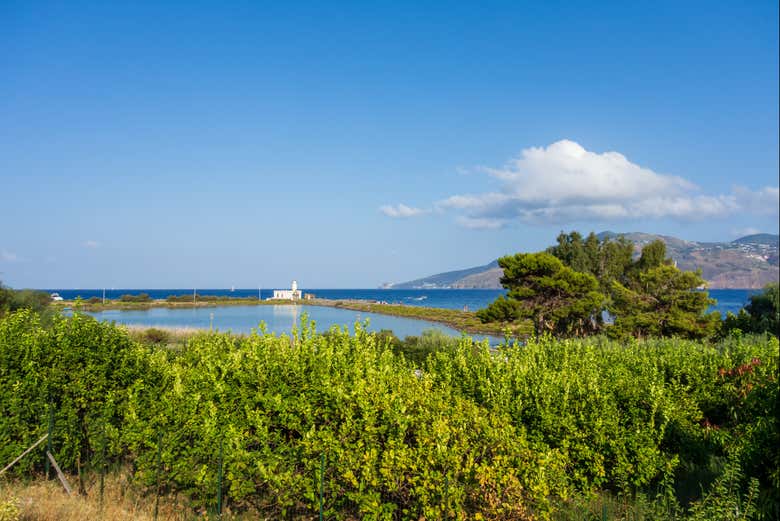 Paseo en barco por la isla de Salina