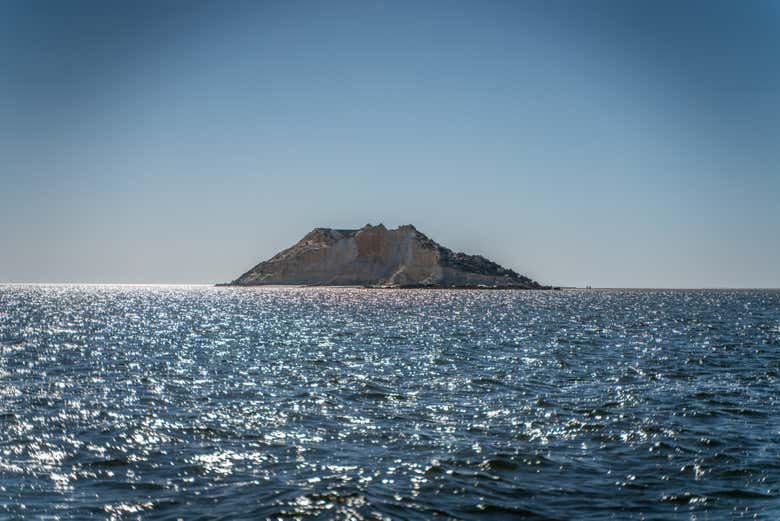 Paseo en catamarán por Dajla