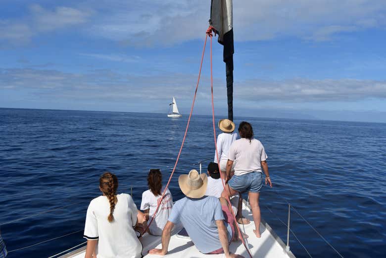 Paseo en velero por Los Gigantes