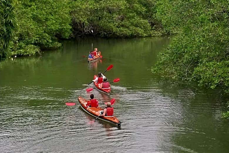 Tour en kayak por la bahía de Paraty