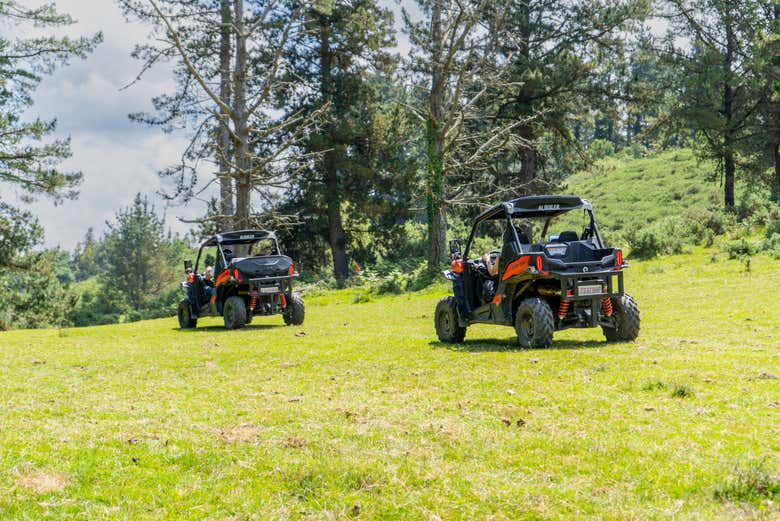 Tour en buggy por Piloña
