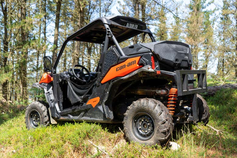 Tour en buggy por Piloña