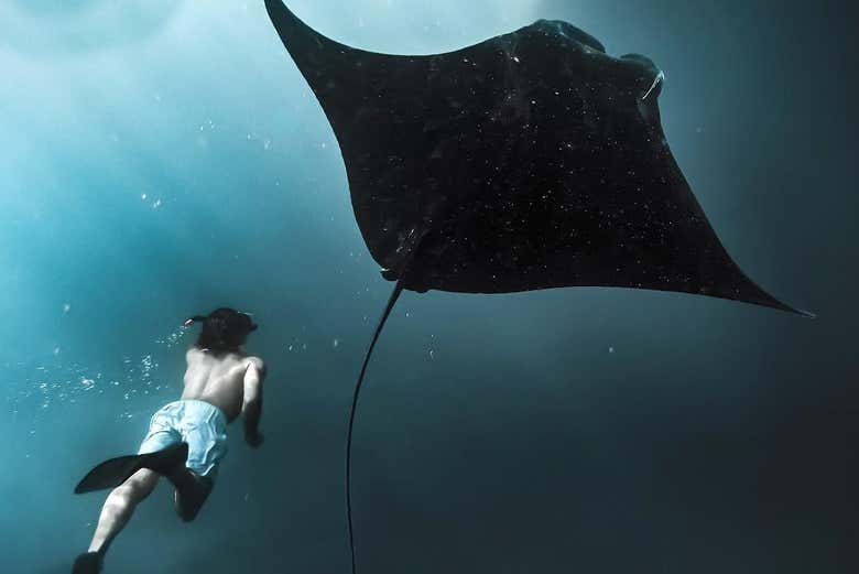 Snorkel con mantarrayas en Nusa Penida