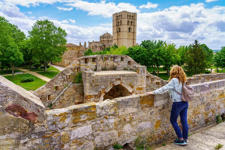 Visita guiada por Zamora y el castillo