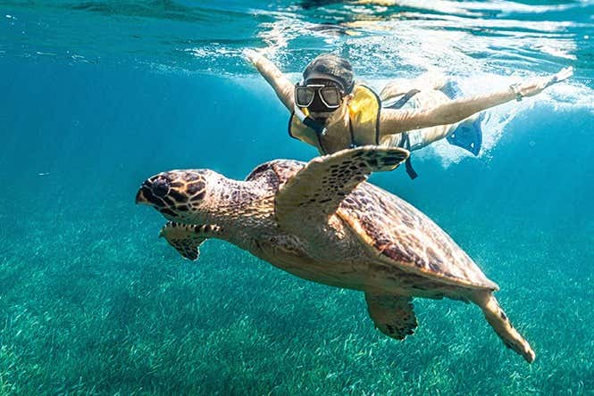 Snorkel en Cancún