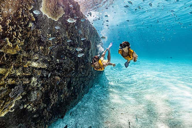 Snorkel en Cancún