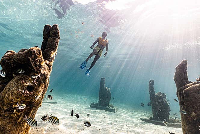 Snorkel en Cancún