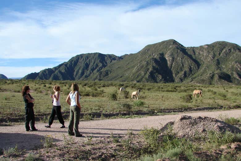 Excursión a Sanagasta y el Parque de Dinosaurios - Galería 2