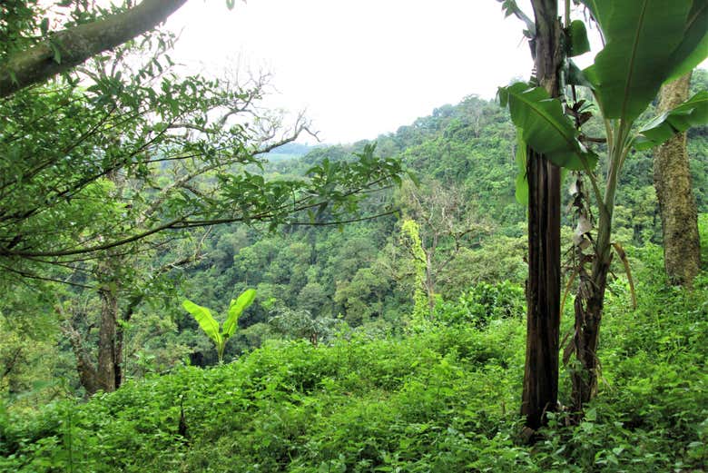 Visita a una comunidad indígena en la selva del Darién
