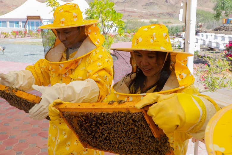 Entrada a Hatta Honey Bee Discovery Centre
