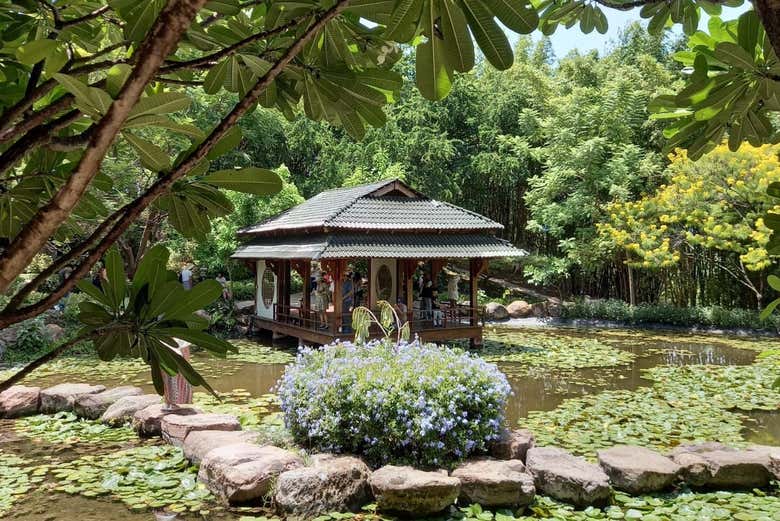 Excursión a los Jardines de México