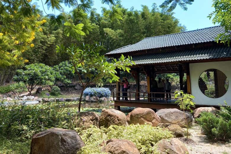 Excursión a los Jardines de México