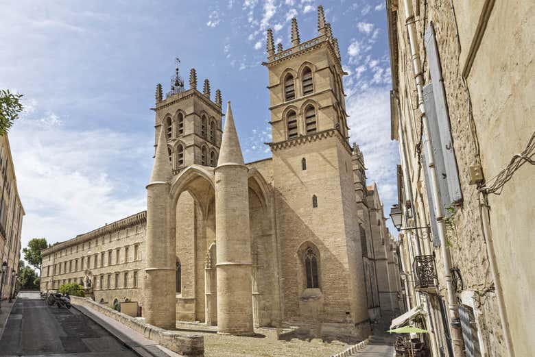 Montpellier City Card