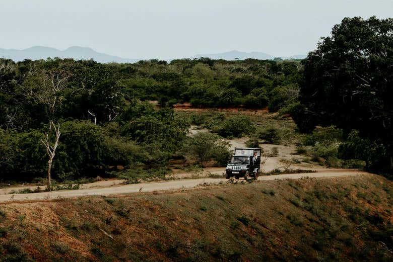 Safari privado por el Parque Nacional de Yala