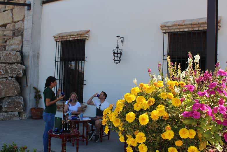 Visita a la fábrica y museo de Aceites Molisur con cata