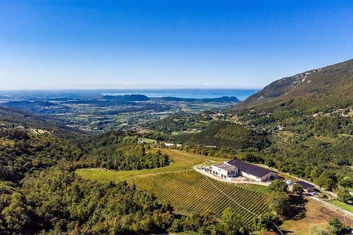 Cata de vinos en Spiazzi