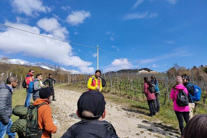 Cata de vinos en Spiazzi