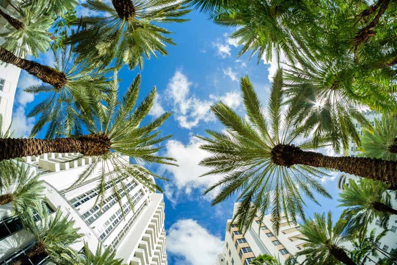 Excursión privada a Miami