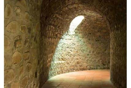 Excursión a las termas de San Joaquín - Galería 2