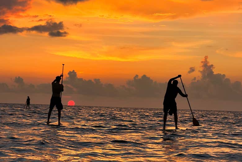 Paddle surf en Cancún al amanecer