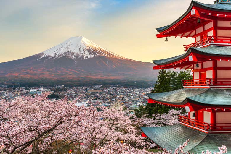 Excursión privada al monte Fuji - Galería 1