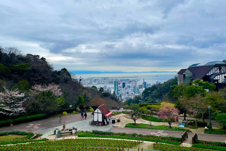 Tour por Kōbe y visita al Jardín de Hierbas Nunobiki