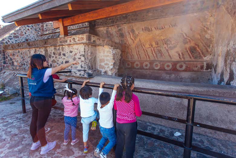 Tour por Teotihuacán + Centro de Conservación Reino Animal
