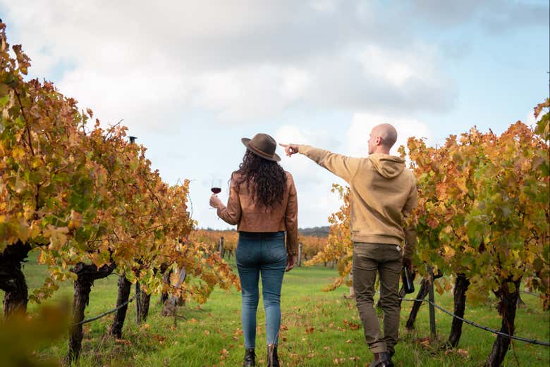 Tour gastronómico por Augusta Margaret River