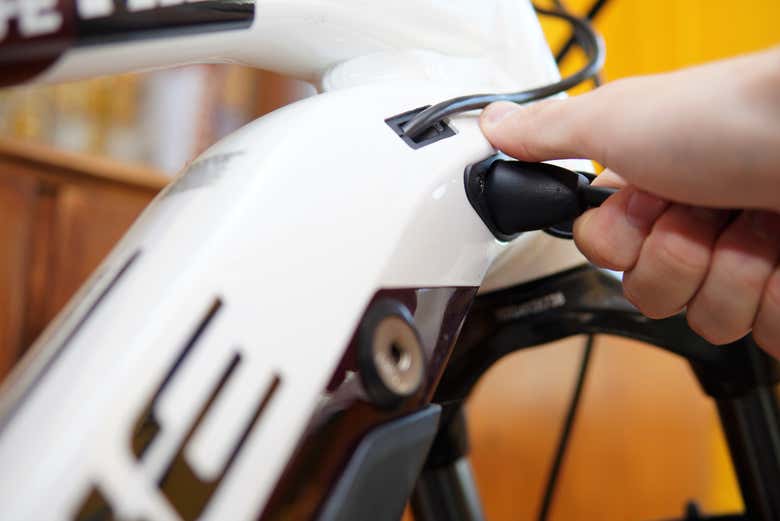 Tour en bicicleta eléctrica con avistamiento de alces - Galería 2